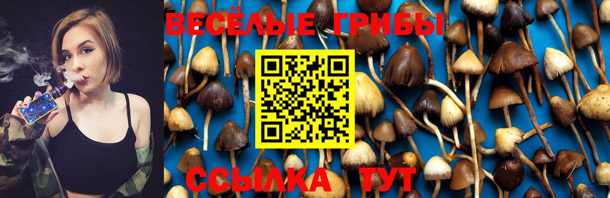 Галлюциногенные грибы Psilocybe Владивосток